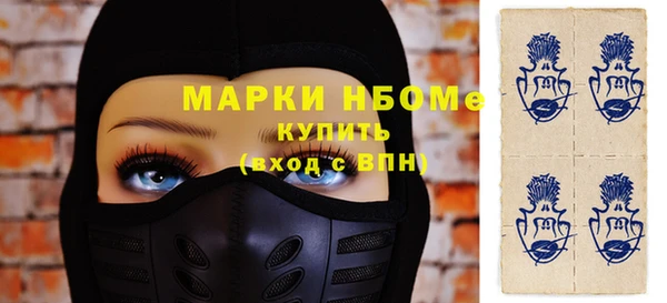 твердый Медногорск