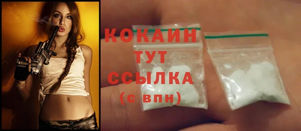 твердый Медногорск