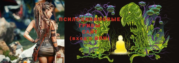 твердый Медногорск