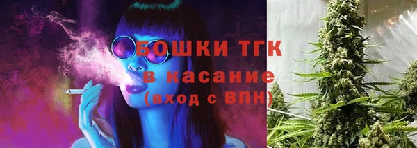 твердый Медногорск